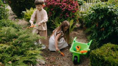 Navigating the Nature-Infused Childhood: Rediscovering Outdoor Play in 2026